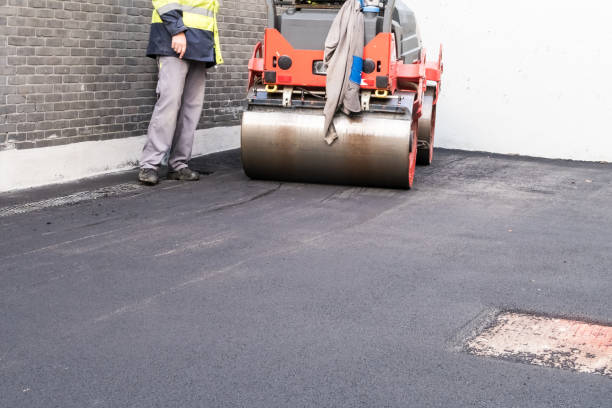 Best Driveway Grading and Leveling  in Hickory Creek, TX